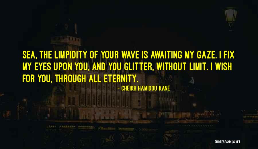Wish Upon Quotes By Cheikh Hamidou Kane Wish Upon Quotes By Cheikh Hamidou Kane