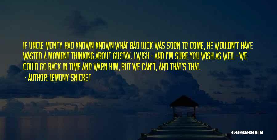 Wish We Could Go Back Quotes By Lemony Snicket