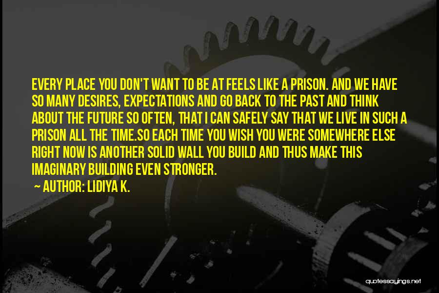 Wish You Can Go Back Quotes By Lidiya K.