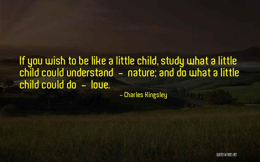 Wish You Could Understand Quotes By Charles Kingsley