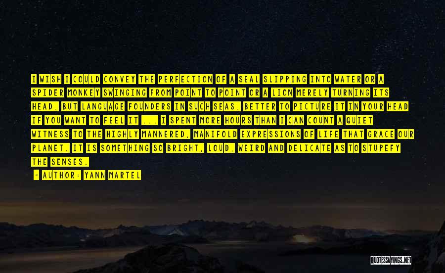 Wish You Feel Better Quotes By Yann Martel Wish You Feel Better Quotes By Yann Martel