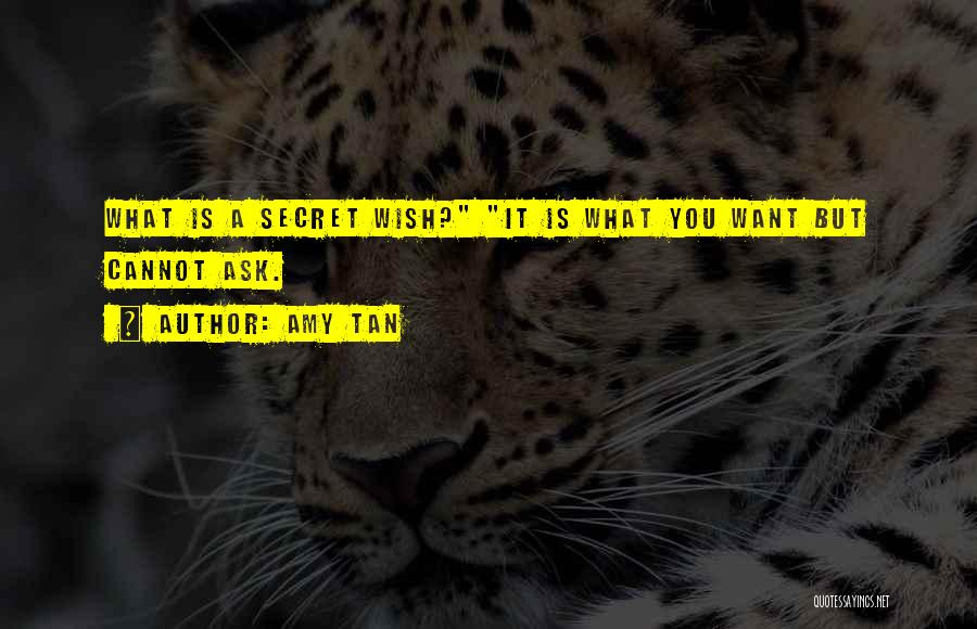 Wish You Quotes By Amy Tan