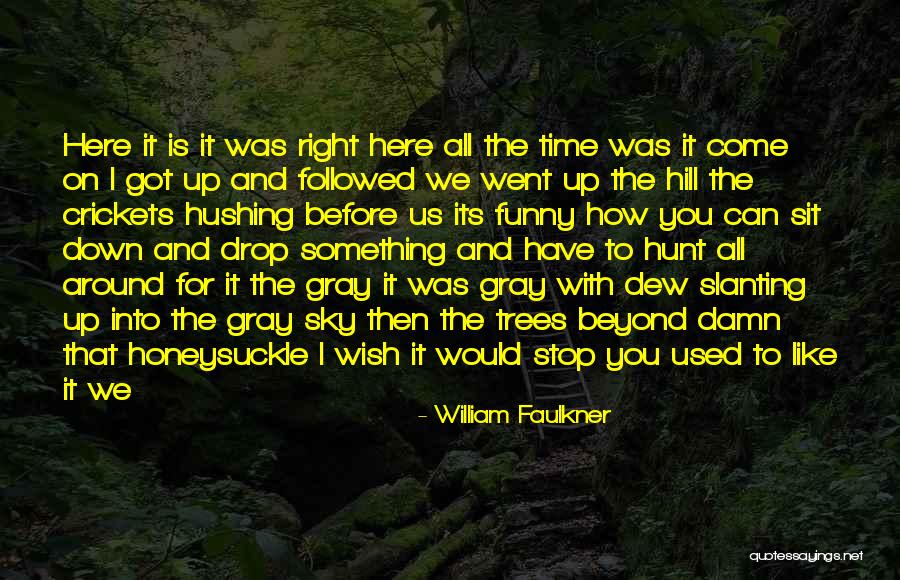 Wish You Was Here Quotes By William Faulkner Wish You Was Here Quotes By William Faulkner