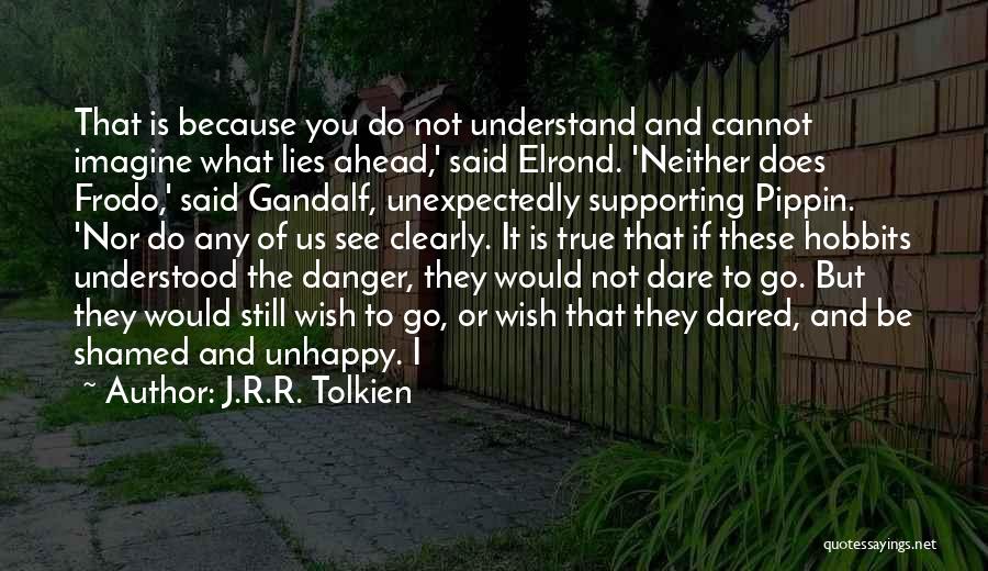 Wish You Would Understand Quotes By J.R.R. Tolkien