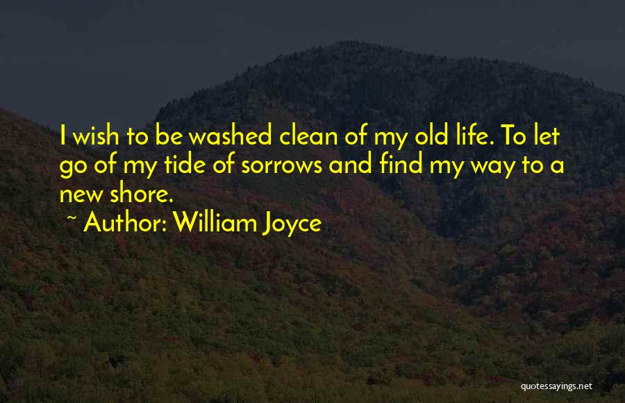 Wishes And Life Quotes By William Joyce