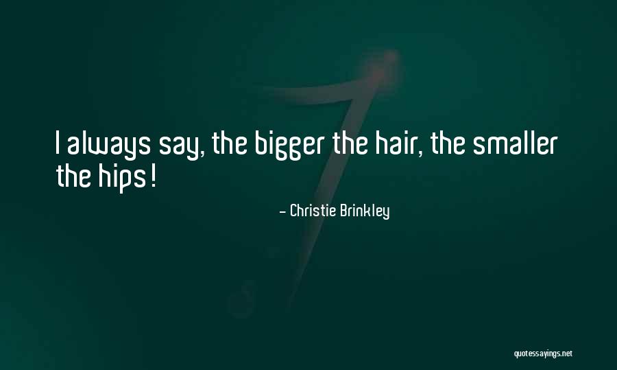 Wishes For Future Endeavours Quotes By Christie Brinkley Wishes For Future Endeavours Quotes By Christie Brinkley