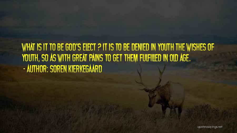 Wishes Fulfilled Quotes By Soren Kierkegaard