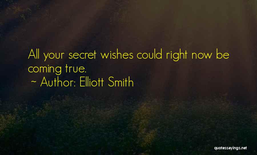 Wishes Not Coming True Quotes By Elliott Smith