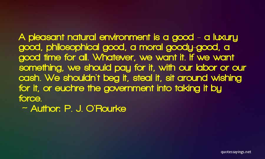 Wishing Good Time Quotes By P. J. O'Rourke