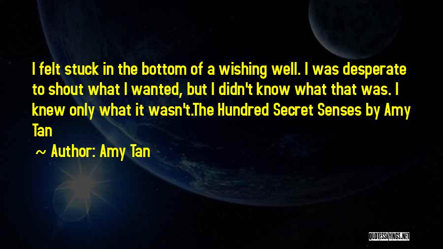 Wishing Someone Knew How You Felt Quotes By Amy Tan