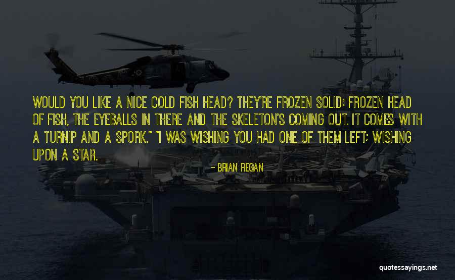 Wishing Star Quotes By Brian Regan Wishing Star Quotes By Brian Regan