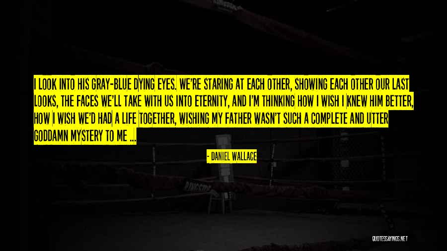 Wishing Things Were Better Quotes By Daniel Wallace