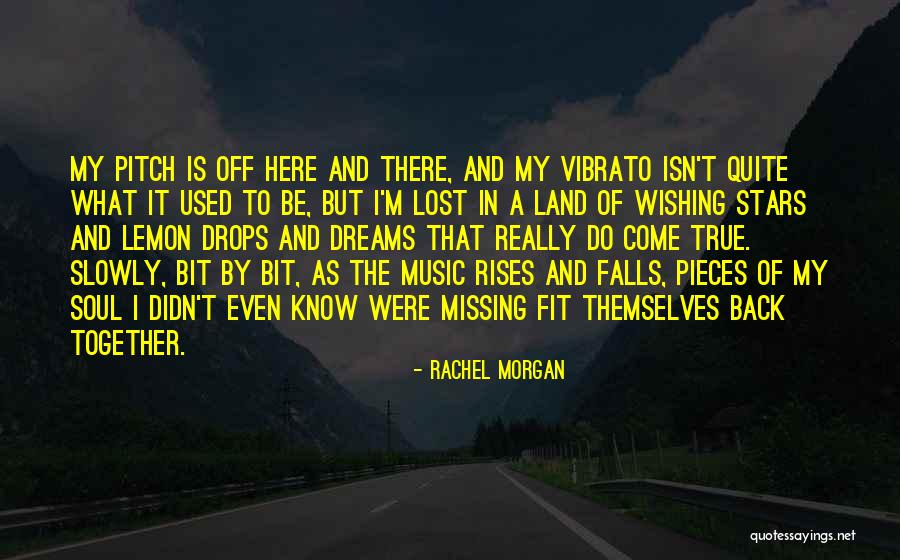 Wishing We Could Be Together Quotes By Rachel Morgan Wishing We Could Be Together Quotes By Rachel Morgan