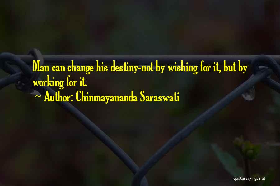 Wishing You Could Change The Past Quotes By Chinmayananda Saraswati