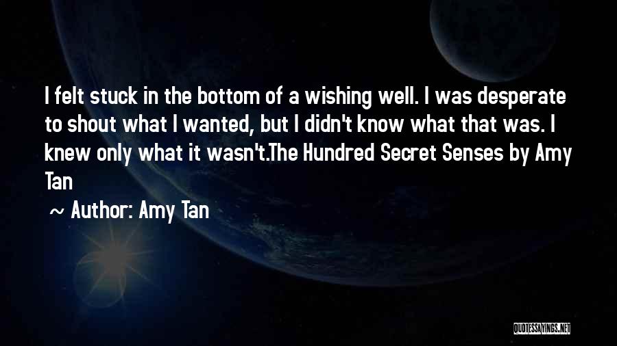 Wishing You Knew How Someone Felt Quotes By Amy Tan