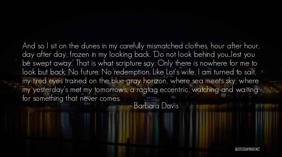 Wishing You Never Met Someone Quotes By Barbara Davis