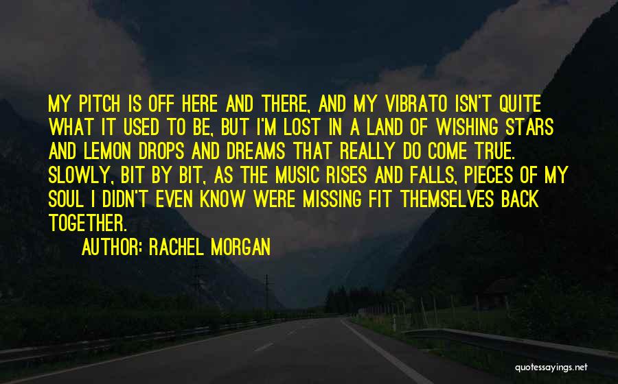 Wishing Your Dreams Come True Quotes By Rachel Morgan