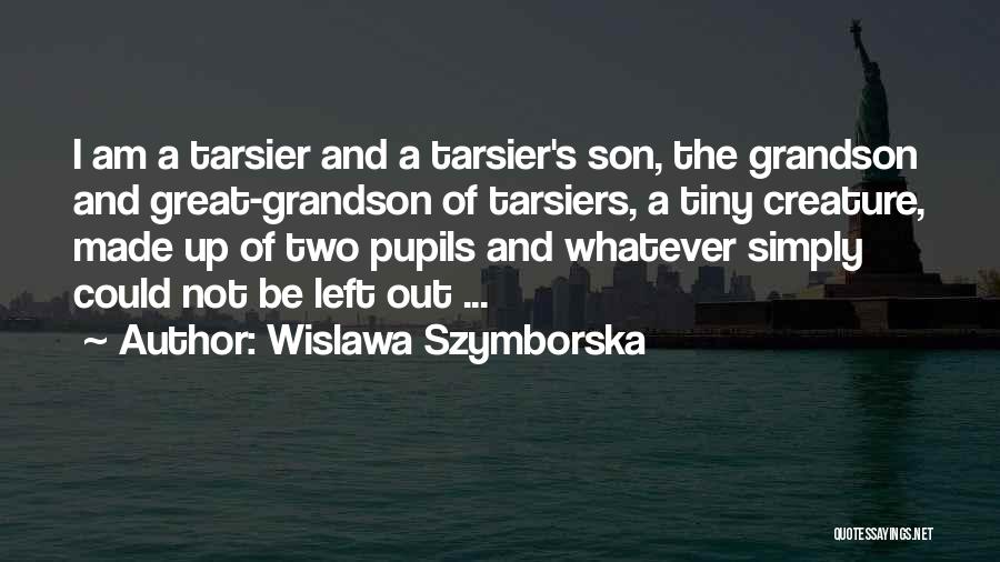 Wislawa Szymborska Quotes 2009360