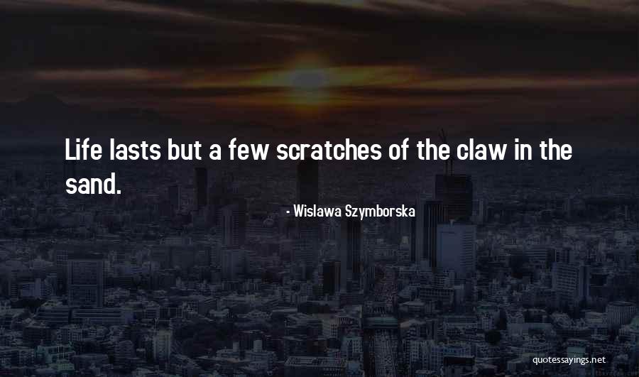 Wislawa Szymborska Quotes 2095588 Wislawa Szymborska Quotes 2095588