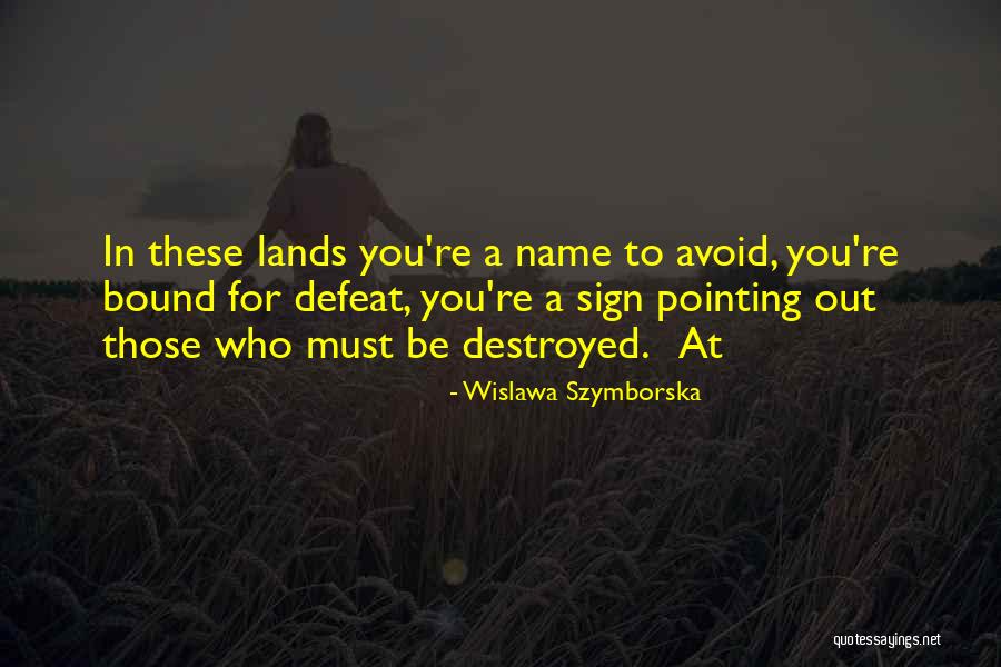 Wislawa Szymborska Quotes 978539 Wislawa Szymborska Quotes 978539