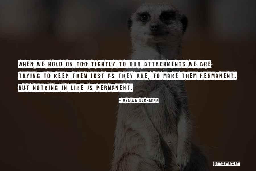 Wisoff Md Quotes By Gyalwa Dokhampa Wisoff Md Quotes By Gyalwa Dokhampa