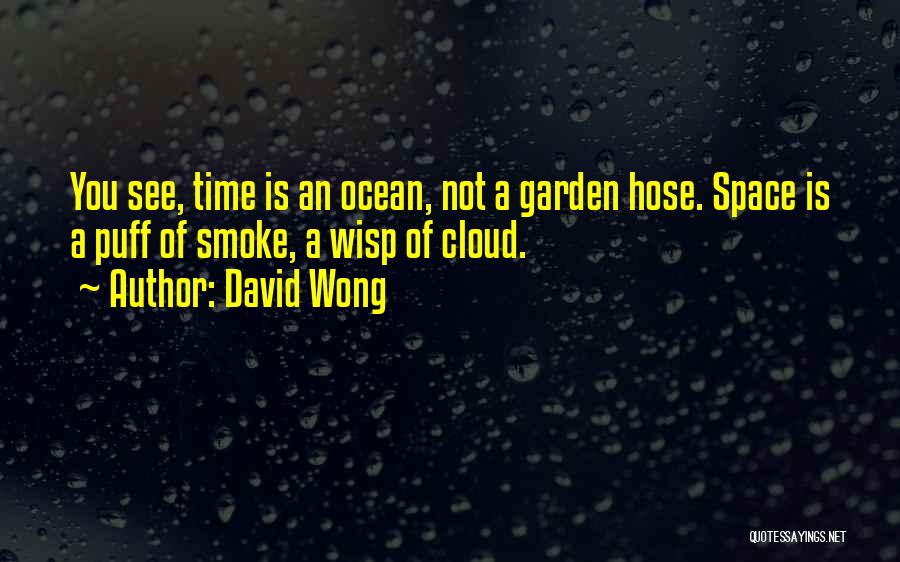 Wisp Of Smoke Quotes By David Wong