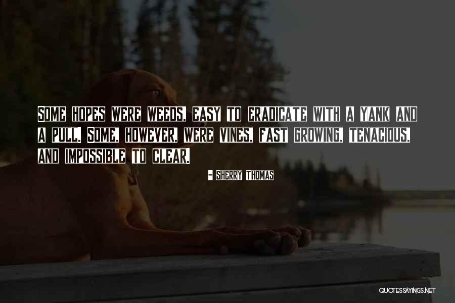 Wissam Al Quotes By Sherry Thomas Wissam Al Quotes By Sherry Thomas