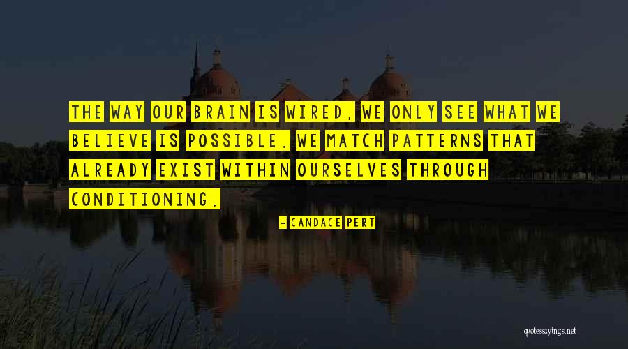 Wistenster Quotes By Candace Pert Wistenster Quotes By Candace Pert