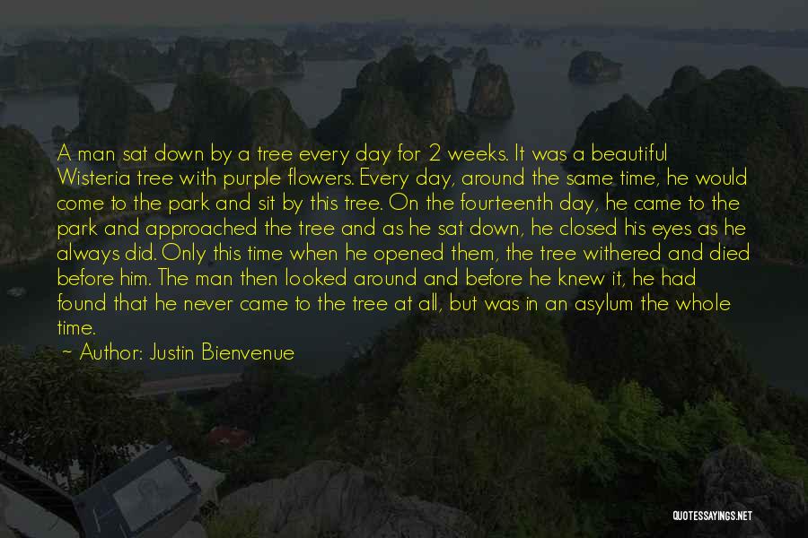 Wisteria Tree Quotes By Justin Bienvenue