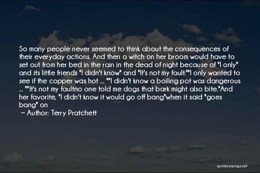 Witch Broom Quotes By Terry Pratchett