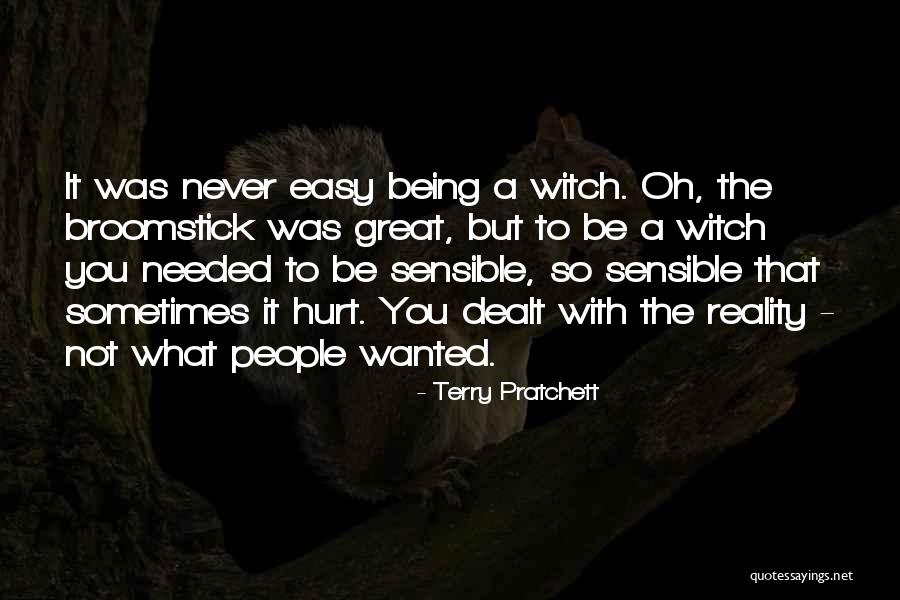 Witch Broomstick Quotes By Terry Pratchett