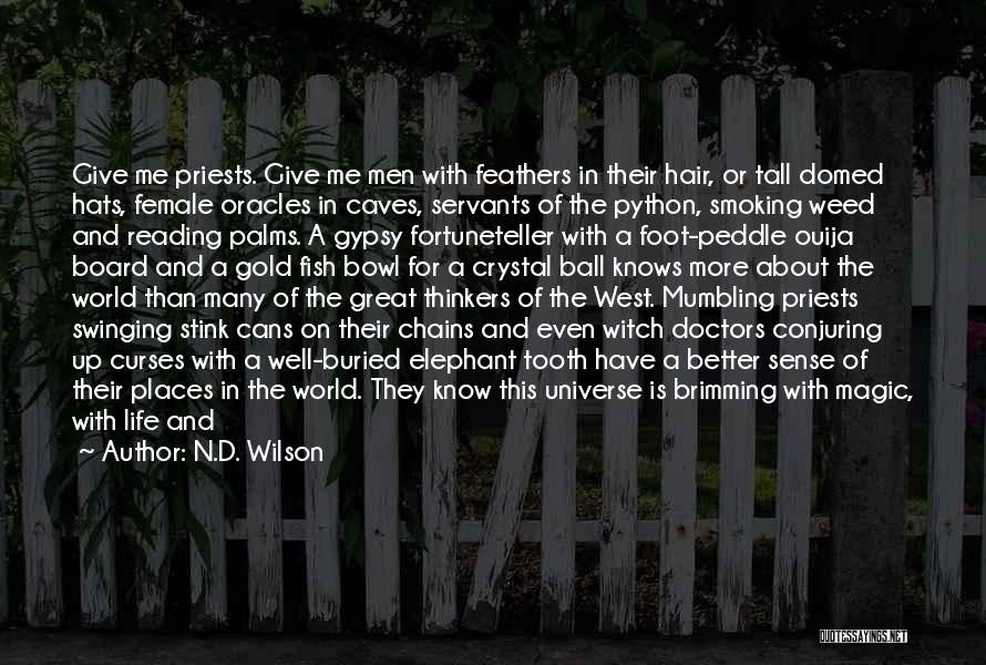 Witch Doctors Quotes By N.D. Wilson