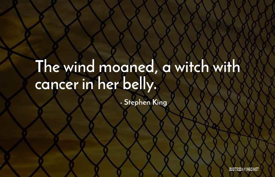 Witch King Quotes By Stephen King Witch King Quotes By Stephen King