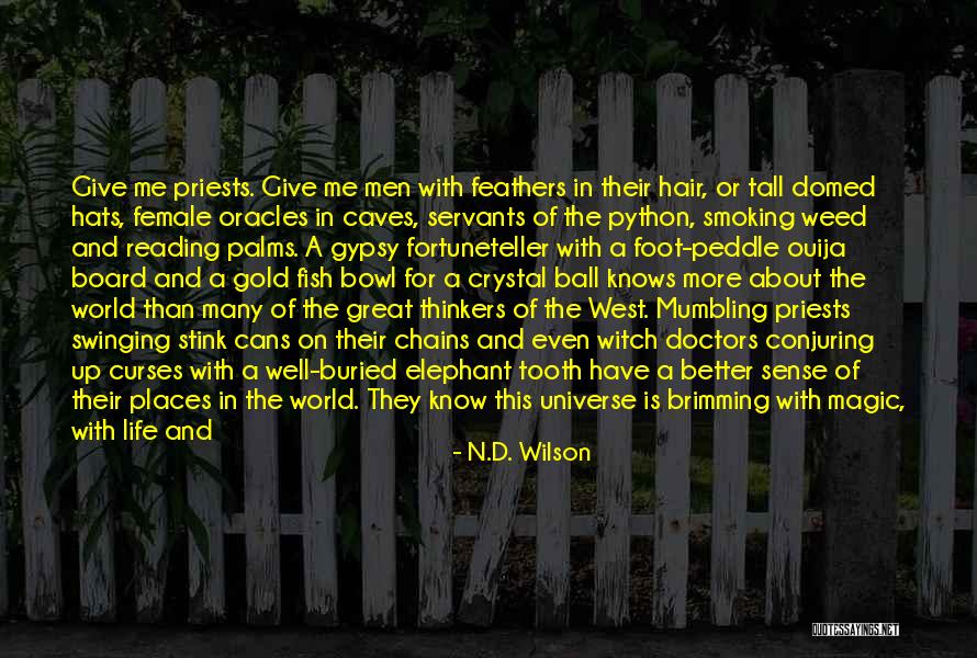 Witch Life Quotes By N.D. Wilson Witch Life Quotes By N.D. Wilson
