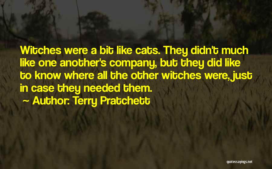 Witch Like Quotes By Terry Pratchett