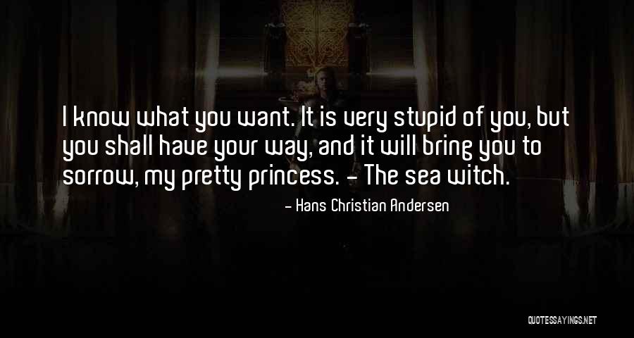 Witch Quotes By Hans Christian Andersen