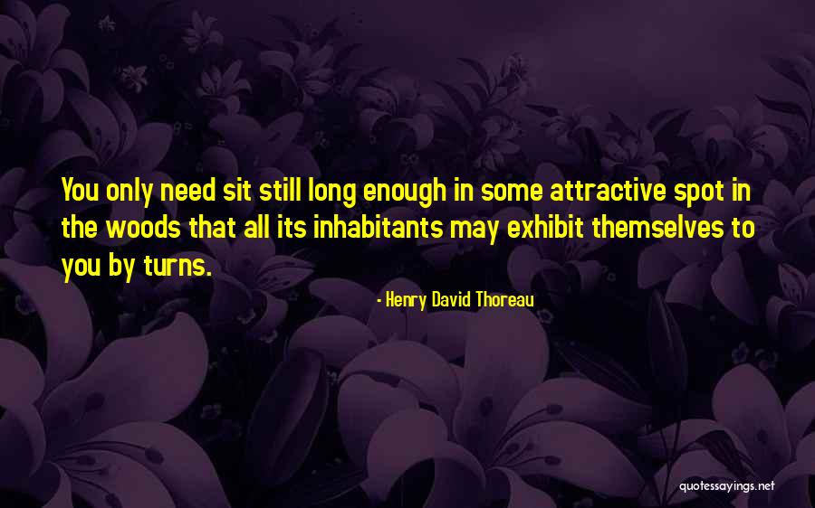 Witch S Canyon Quotes By Henry David Thoreau Witch S Canyon Quotes By Henry David Thoreau