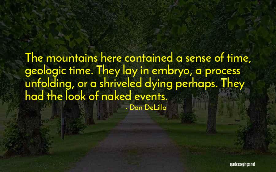 Witch Season Quotes By Don DeLillo Witch Season Quotes By Don DeLillo