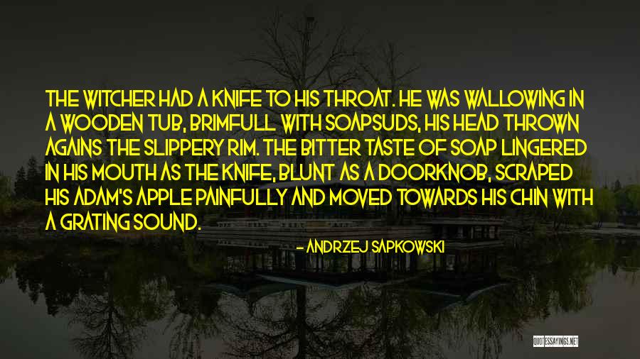 Witcher 3 Best Quotes By Andrzej Sapkowski Witcher 3 Best Quotes By Andrzej Sapkowski