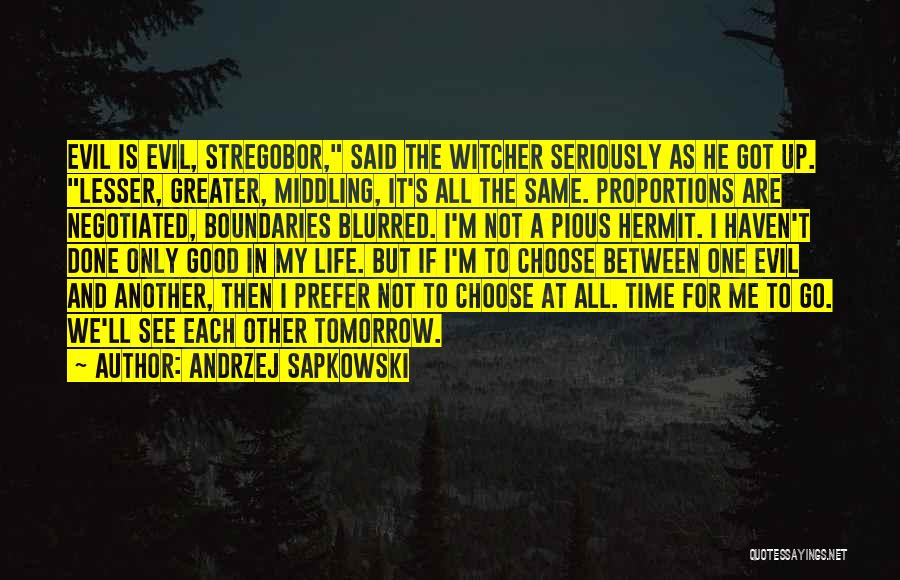 Witcher Quotes By Andrzej Sapkowski