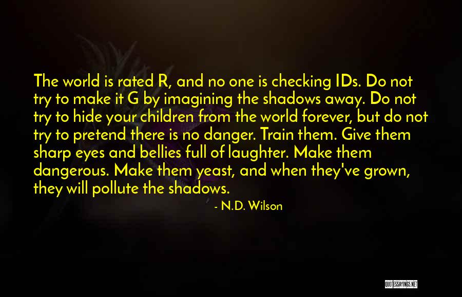 Witchers Name Quotes By N.D. Wilson