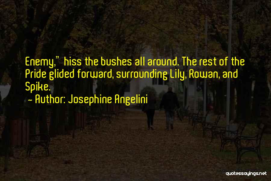 Witches And Magic Quotes By Josephine Angelini