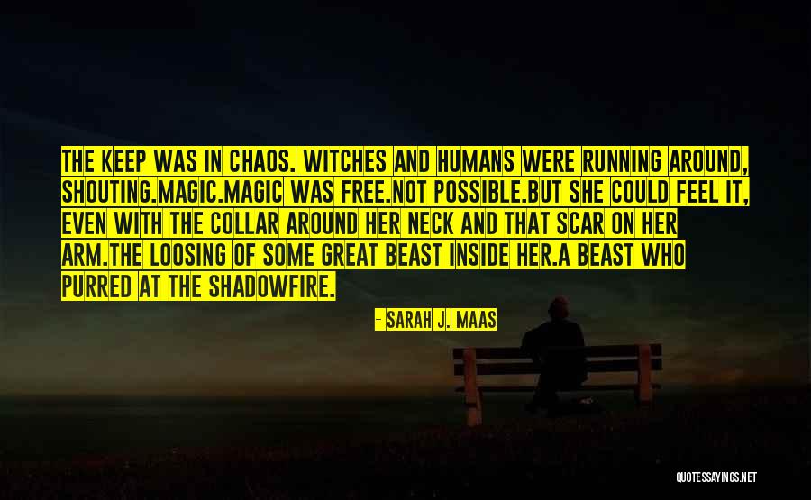 Witches And Magic Quotes By Sarah J. Maas