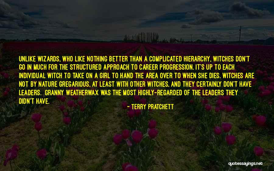 Witches And Wizards Quotes By Terry Pratchett