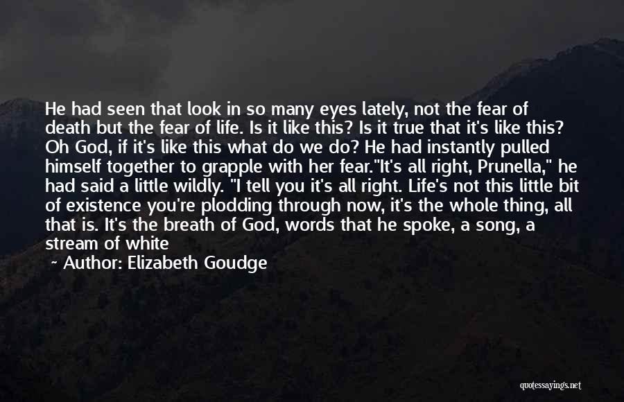 With A Little Faith Quotes By Elizabeth Goudge