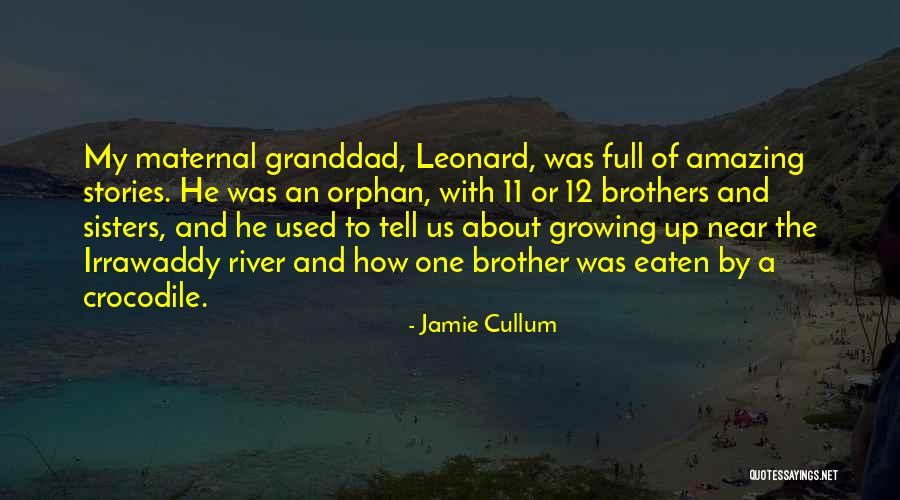 With Brother Quotes By Jamie Cullum With Brother Quotes By Jamie Cullum
