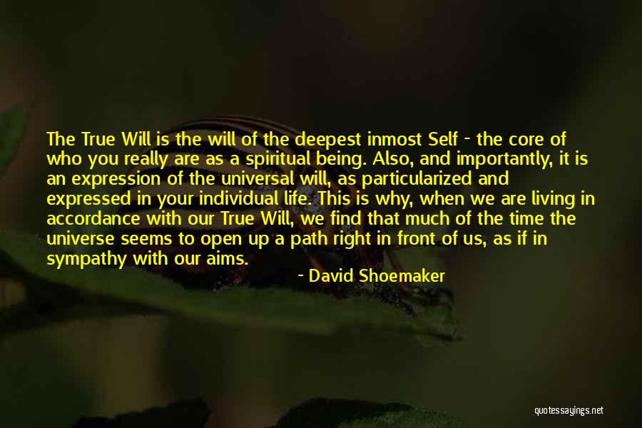 With Deepest Sympathy Quotes By David Shoemaker