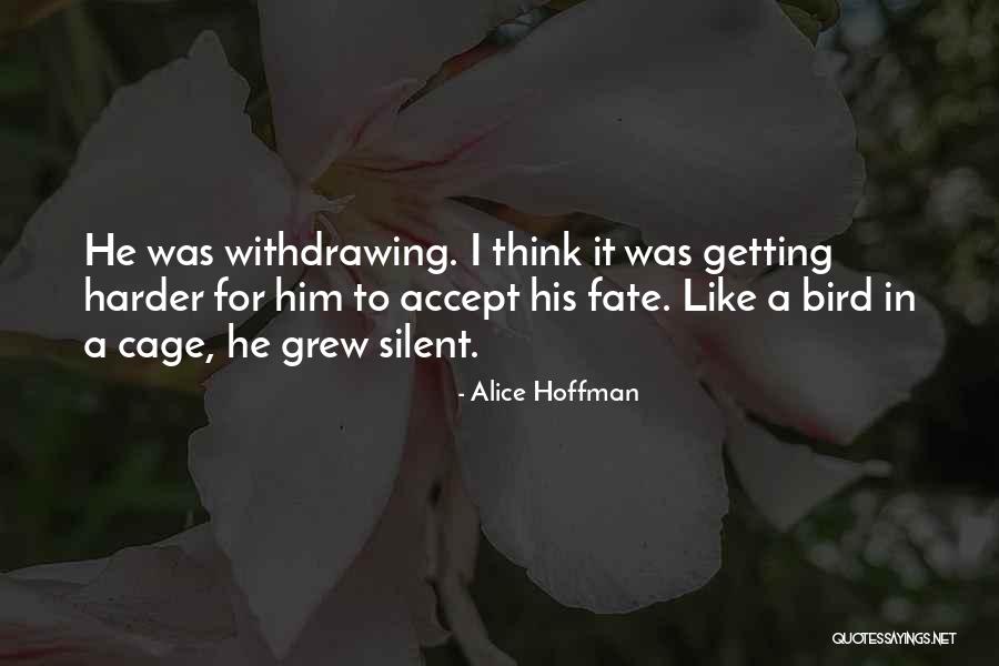 Withdrawing Quotes By Alice Hoffman