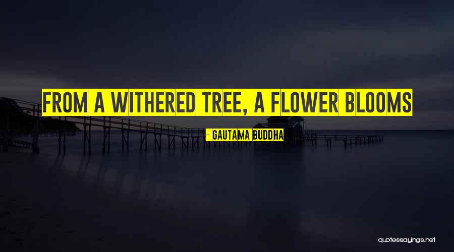 Withered Quotes By Gautama Buddha Withered Quotes By Gautama Buddha