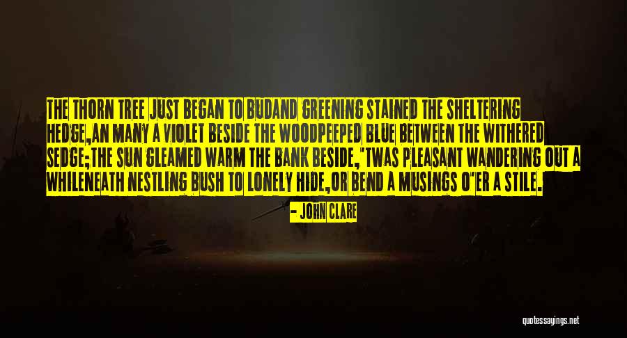 Withered Quotes By John Clare Withered Quotes By John Clare